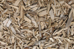biomass boilers Glan Rhyd